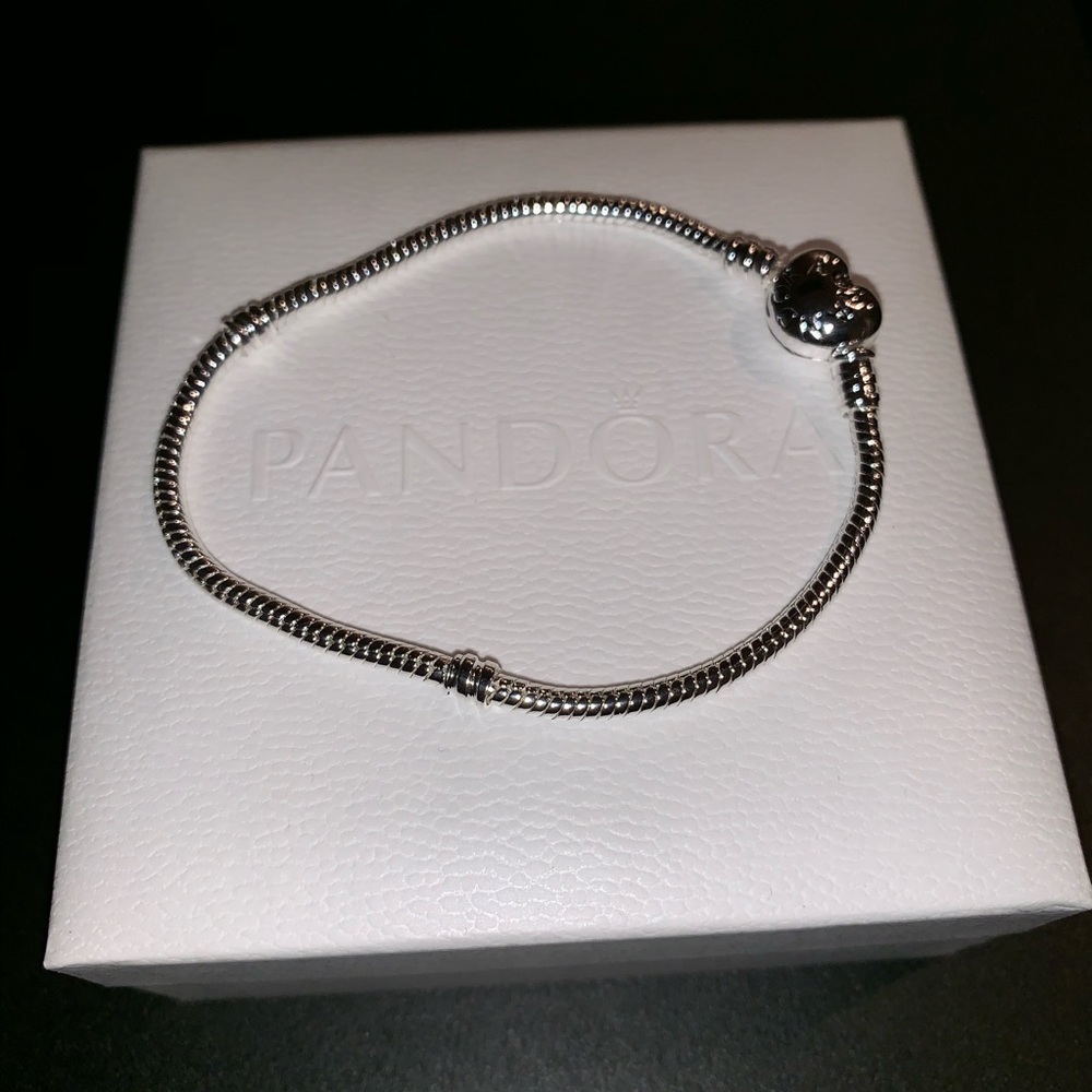 Pandora Charm Bracelet